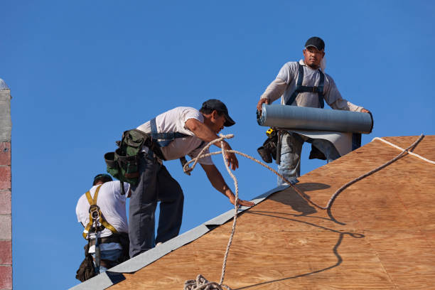 Best Roof Gutter Cleaning  in East Brooklyn, CT