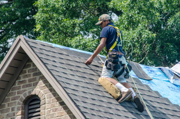 Best Roof Maintenance Services  in East Brooklyn, CT