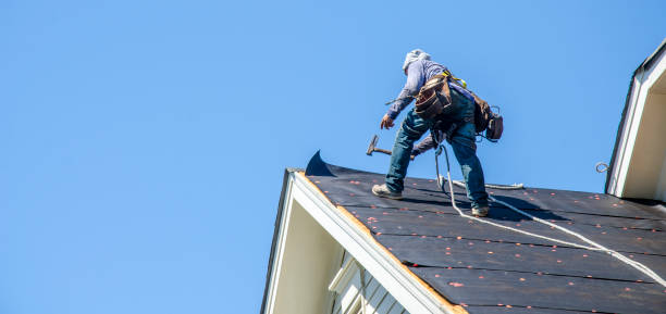 Best Roof Leak Repair  in East Brooklyn, CT